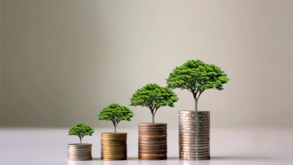4 piles de pièces de monnaie avec des arbres qui grandissent montrant l'interet d'un investissement