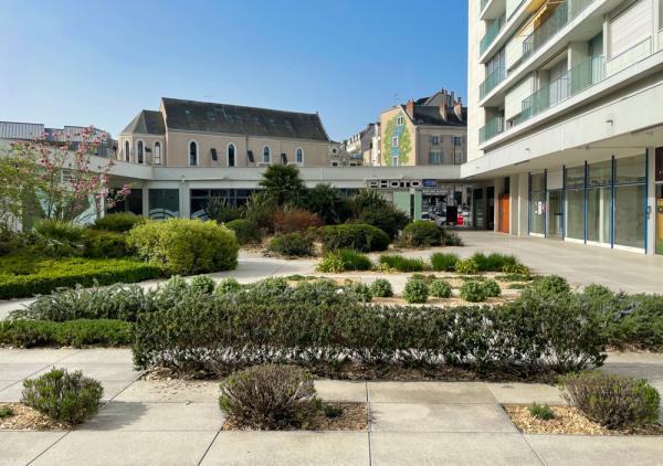 agence immobiliere Angers Saint Michel